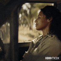Disappear The Tourist GIF by HBO Max