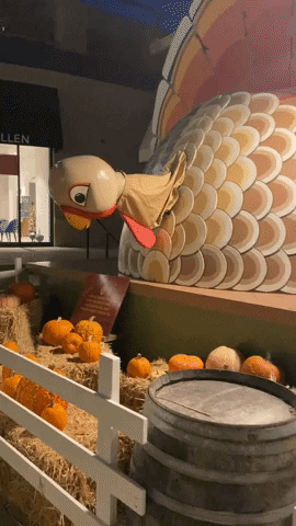 thanksgiving turkey GIF