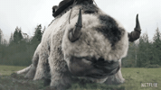 Angry Avatar The Last Airbender GIF by NETFLIX