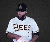 SaltLakeBees food baseball eating rojas GIF