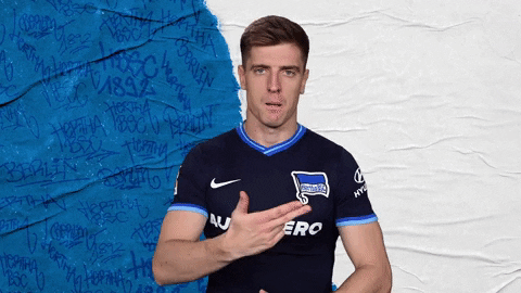 Goal Bundesliga GIF by Hertha BSC
