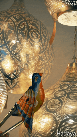 Bird Lamp GIF by Hadaya
