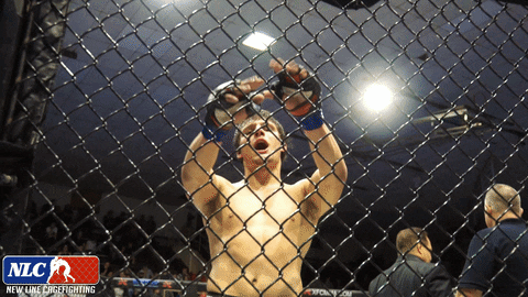 Lets Go Fist Bump GIF by New Line Cagefighting
