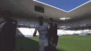 Football Soccer GIF by Ligue 1