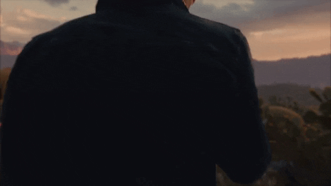 Dave Meyers GIF by P!NK