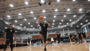 Basketball GIF by Brown Ballers