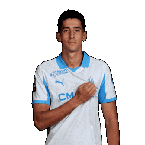 Ligue 1 Football Sticker by Olympique de Marseille