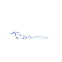 Private Jet Travel Sticker by Casol