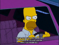 homer simpson episode 6 GIF