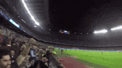 Tdg GIF by Topes de Gama