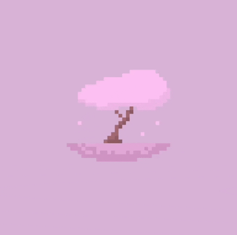 Relaxing Cherry Blossom GIF