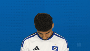 Look Up Hamburger Sv GIF by Bundesliga