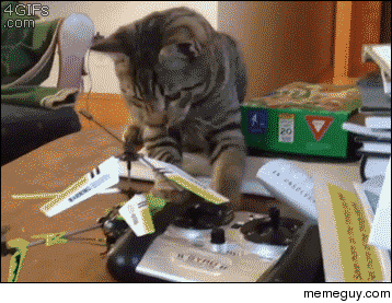 s reactions geek GIF