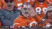 Waving Regular Season GIF by NFL