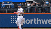 New York Mets Reaction GIF by SNY