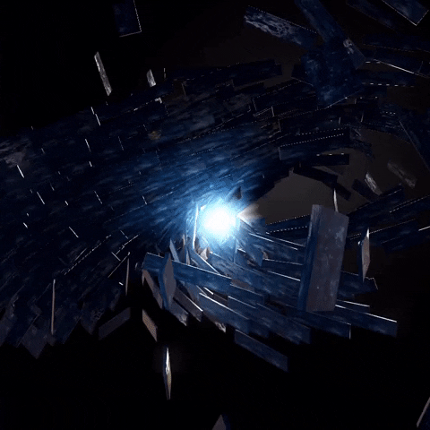 bforest  GIF