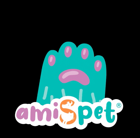 amiSpet giphyupload dog love amispet amislover GIF