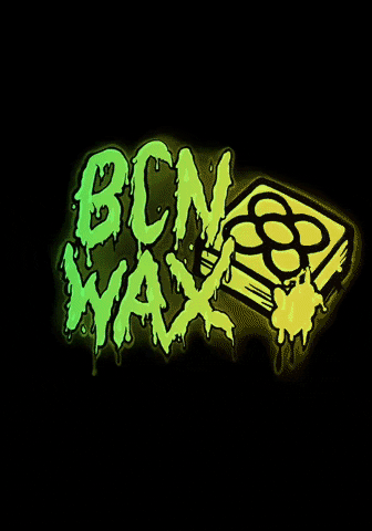 BCNWAX skate surf barcelona skateboard GIF