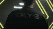 Rainbow Six Siege Sweden GIF by Spacestation Gaming