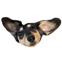 dog Sticker