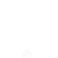 Cactus Arizona Sticker