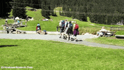 SkiWelt hiking wanderlust tirol wandern GIF