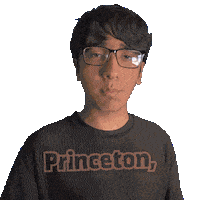 Princeton Sticker