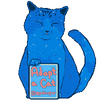 pckasper cat cats stars kitty Sticker