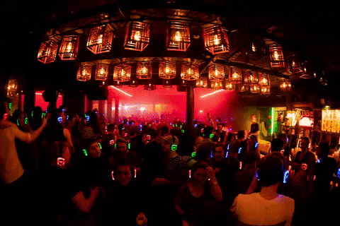 Party Fun GIF by RGB Disco