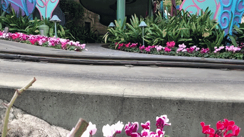 KPCC giphyupload GIF