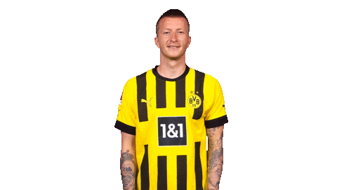 Celebrate Happy Birthday Sticker by Bundesliga