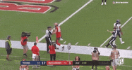 Regular Season Football GIF by NFL