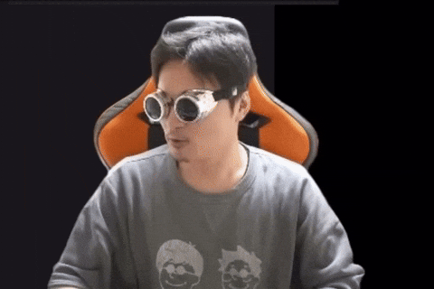 Sunglasses Goggles GIF