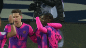 Football Soccer GIF by Ligue 1