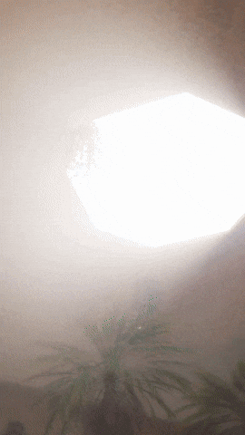 Taco Collectibles GIF by Youtooz