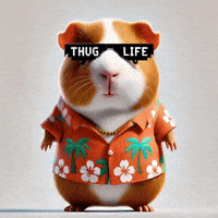 Proud Education GIF by Guinea Gambino