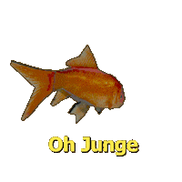 Goldfish Bacchus Sticker