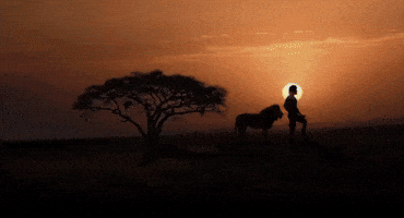 Mahesh Babu Globe Trotter