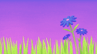 Flowers Chilling