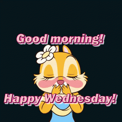 Wednesday Morning GIF by memecandy
