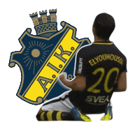 stockholm Sticker by AIK