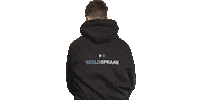 Beeldspraaktv  Sticker