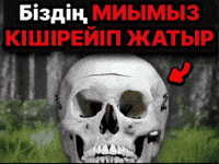 Қазақша Мемдер GIF