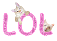 Pink Cats Sticker
