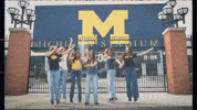 Big House GIF by University of Michigan