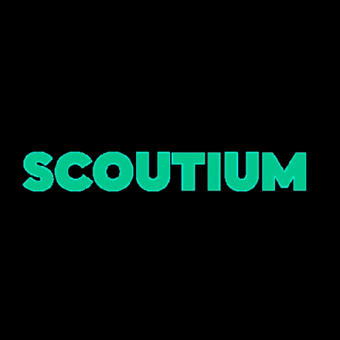Scoutium scout scoutium GIF