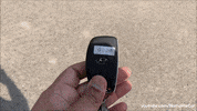 Driving Lets Go GIF by Namaste Car