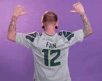 Football Fan GIF by StubHub