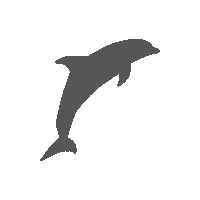 Usa Florida Sticker by CANUSA