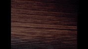 8 Seconds Film GIF